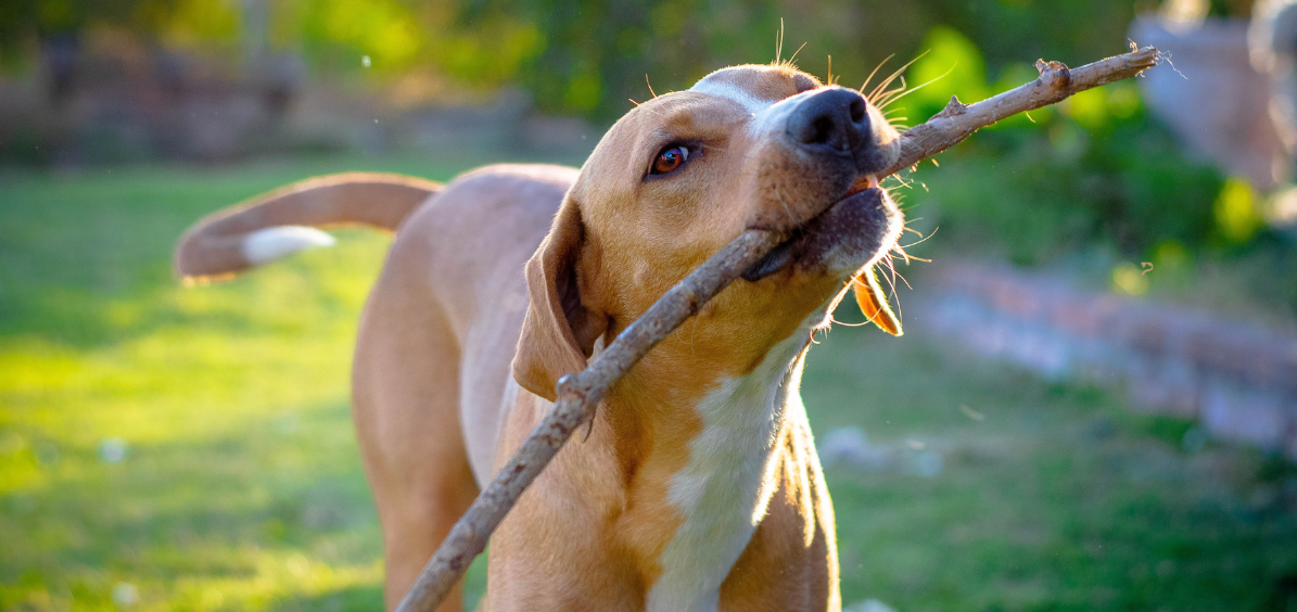 Diseño sin título-11